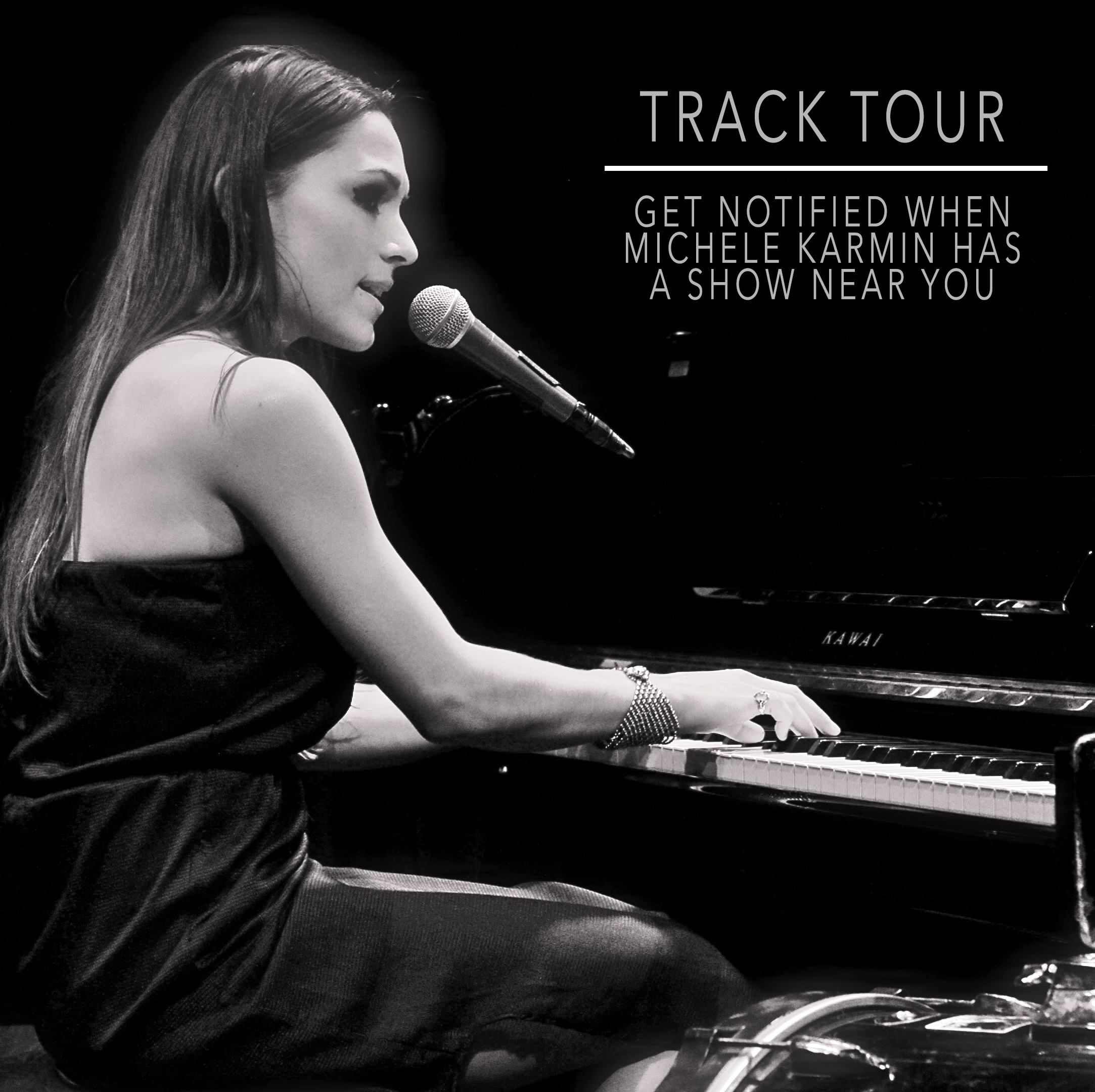 Michele Karmin Tour